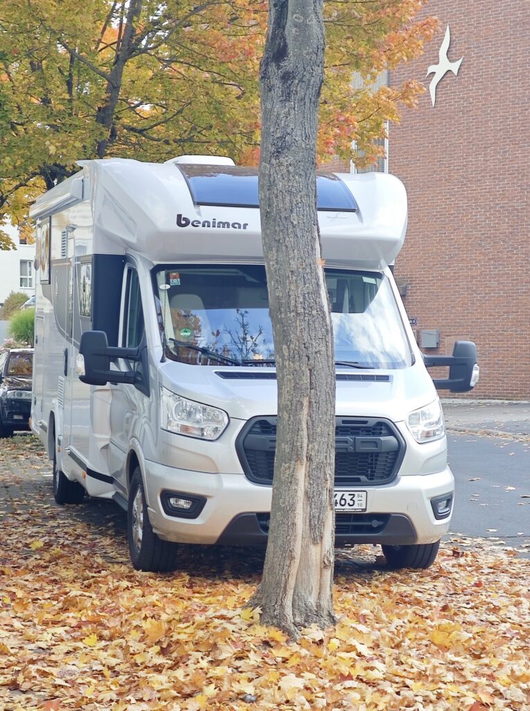 Tessoro T463 im Herbst 25